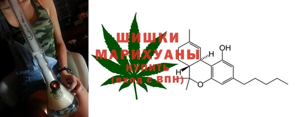 спайс Арсеньев
