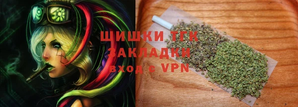 спайс Арсеньев